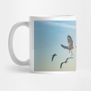 Larus californicus Mug